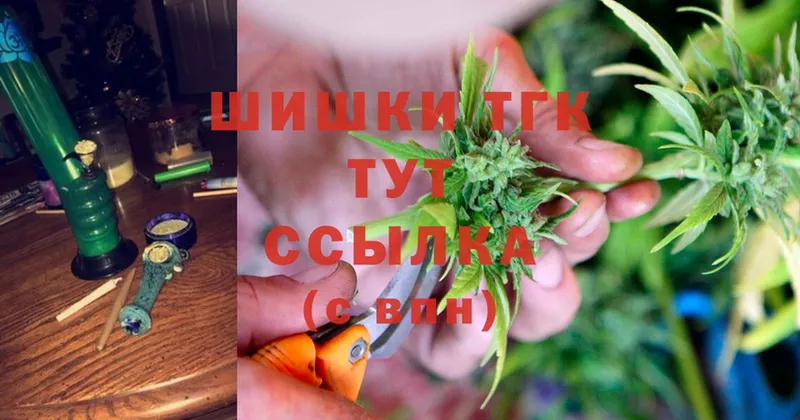 Шишки марихуана конопля  где можно купить   Туринск 